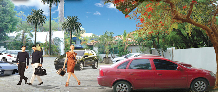 Centro Ejecutivo MG & Asociados