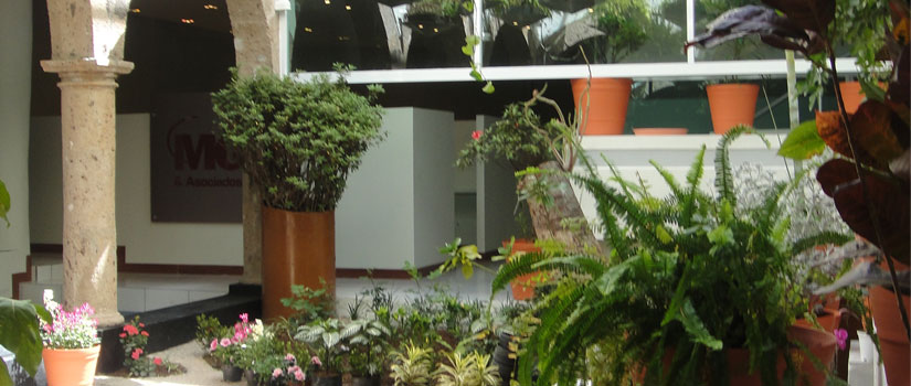 Centro Ejecutivo MG & Asociados