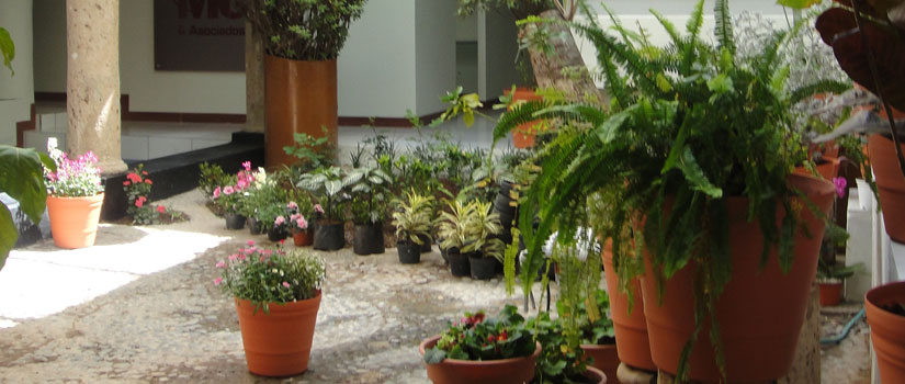 Centro Ejecutivo MG & Asociados