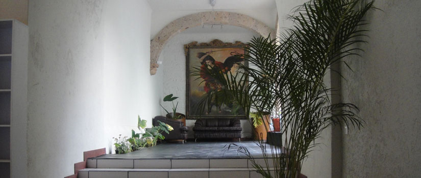 Centro Ejecutivo MG & Asociados